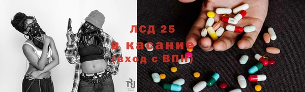 PSILOCYBIN Зеленодольск