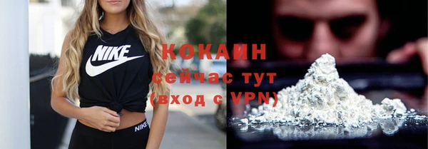 трава Инта