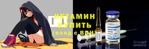 трава Инта