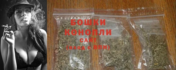 PSILOCYBIN Зеленодольск