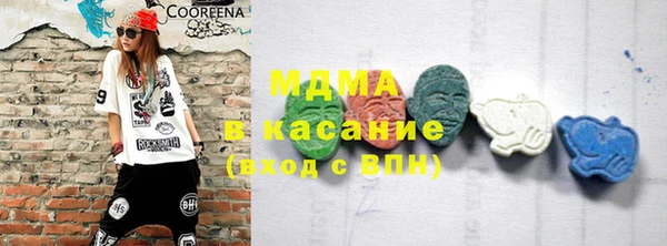 трава Инта